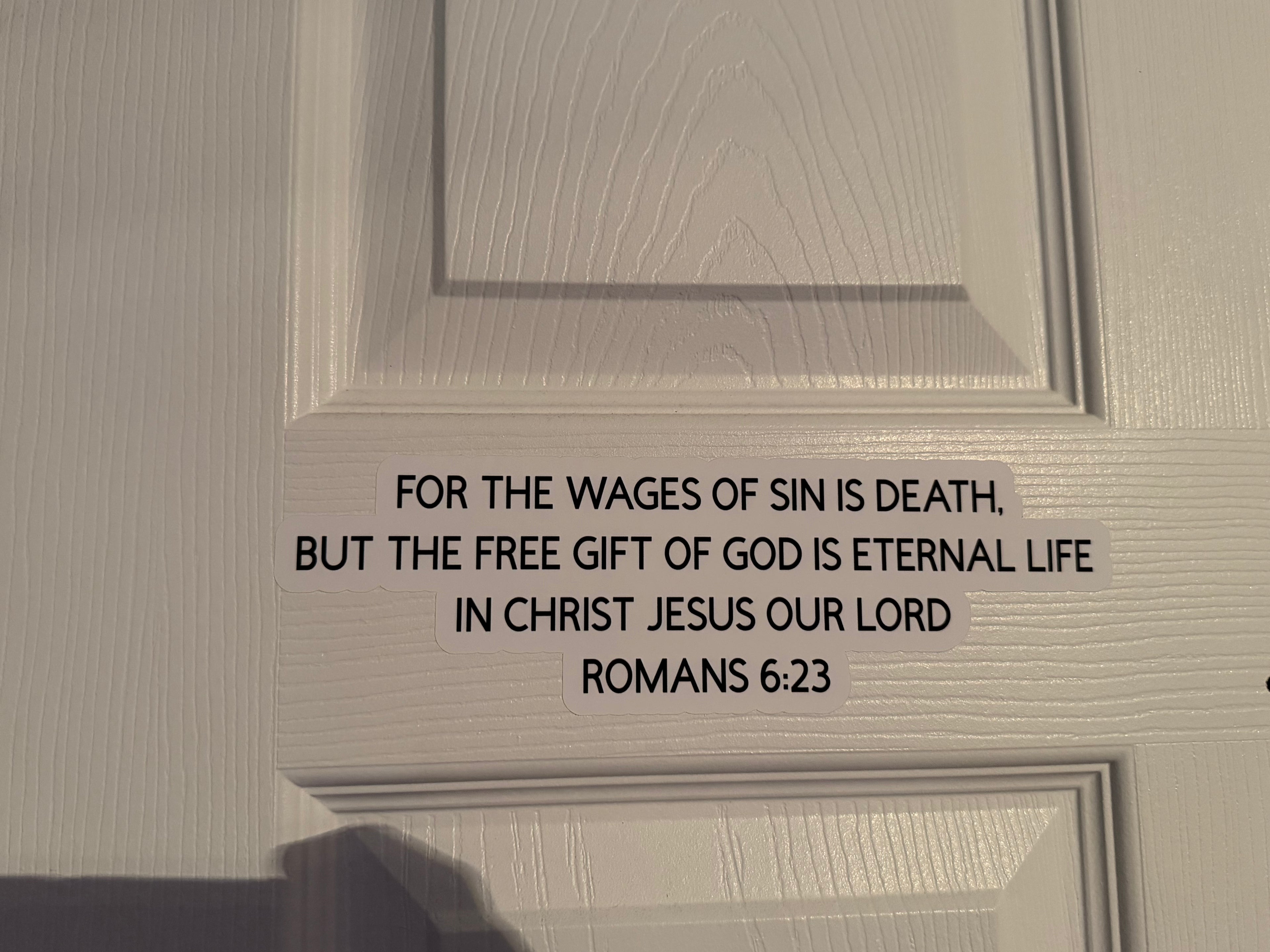Romans 6:23 For the wages of sin is death