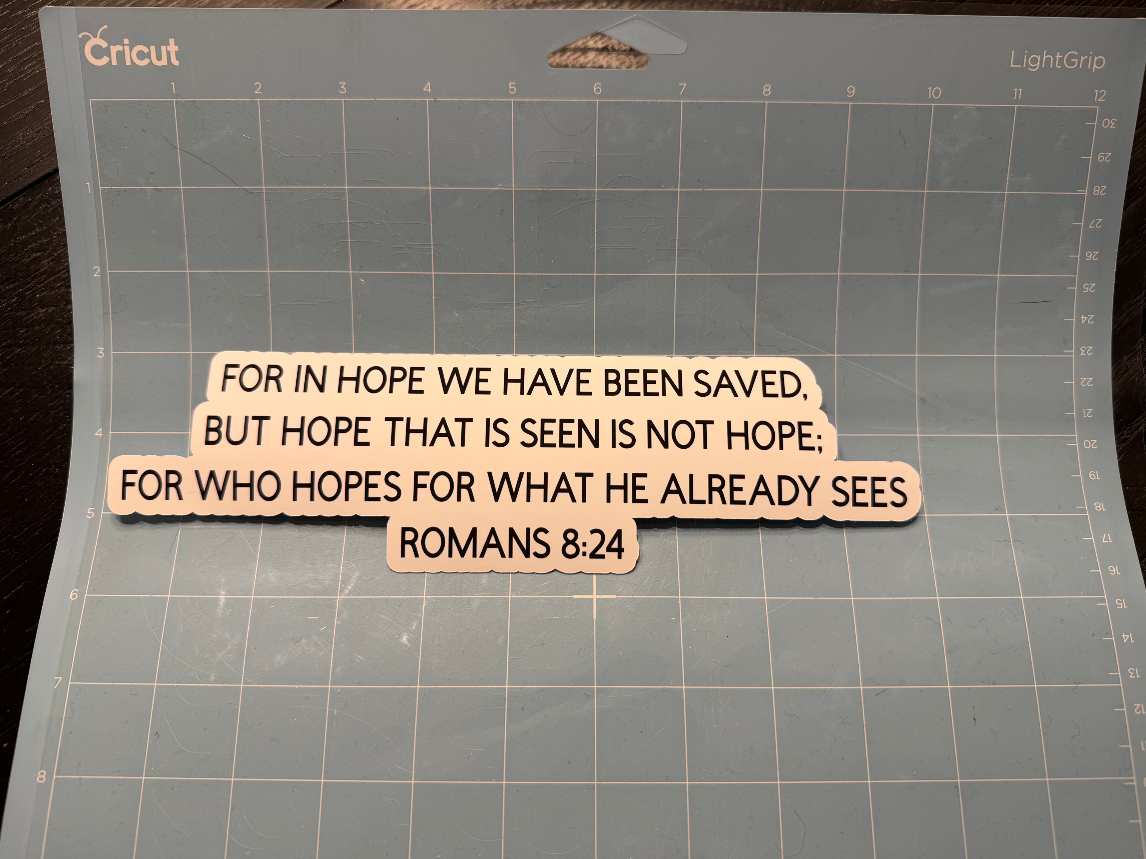 Romans 8:24 Bumper Sticker