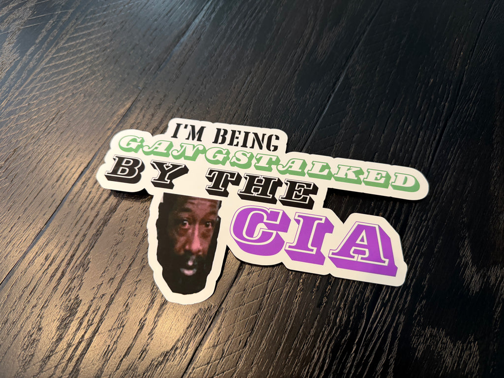 Gangstalked by the CIA