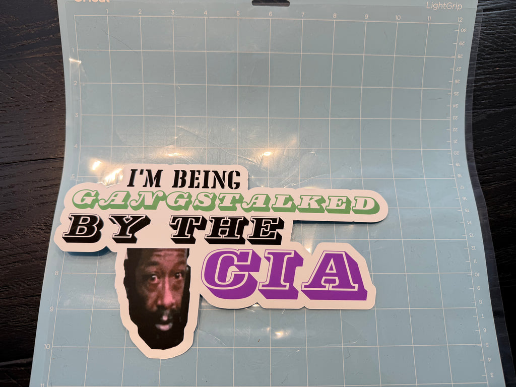 Gangstalked by the CIA