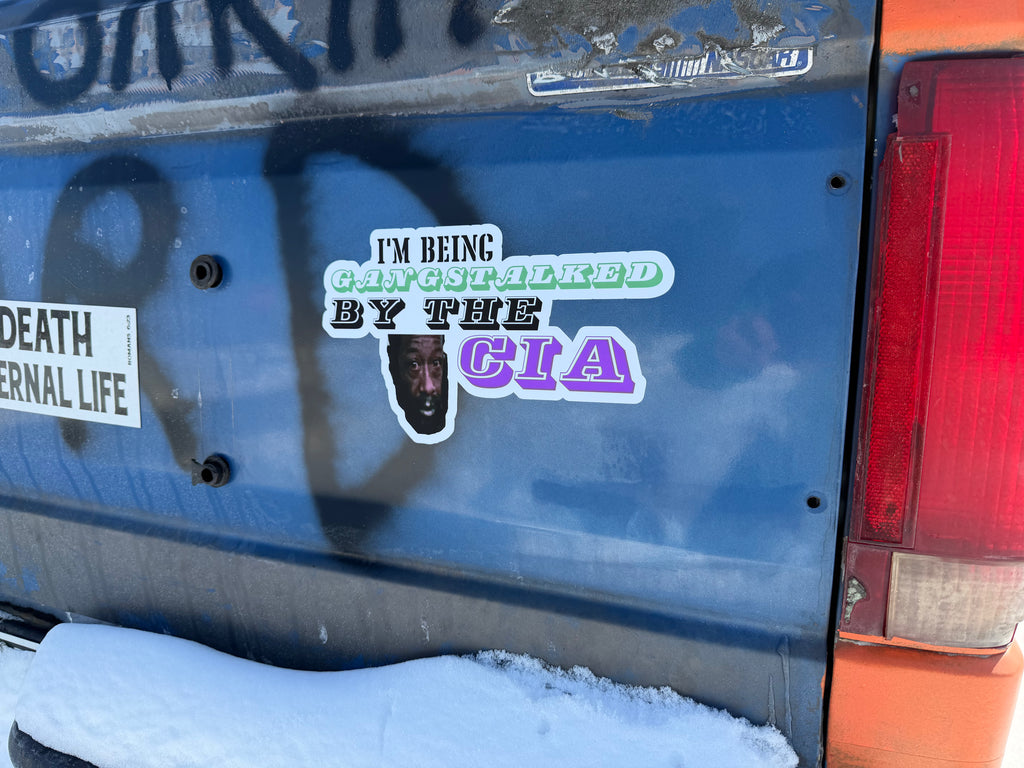 Gangstalked by the CIA