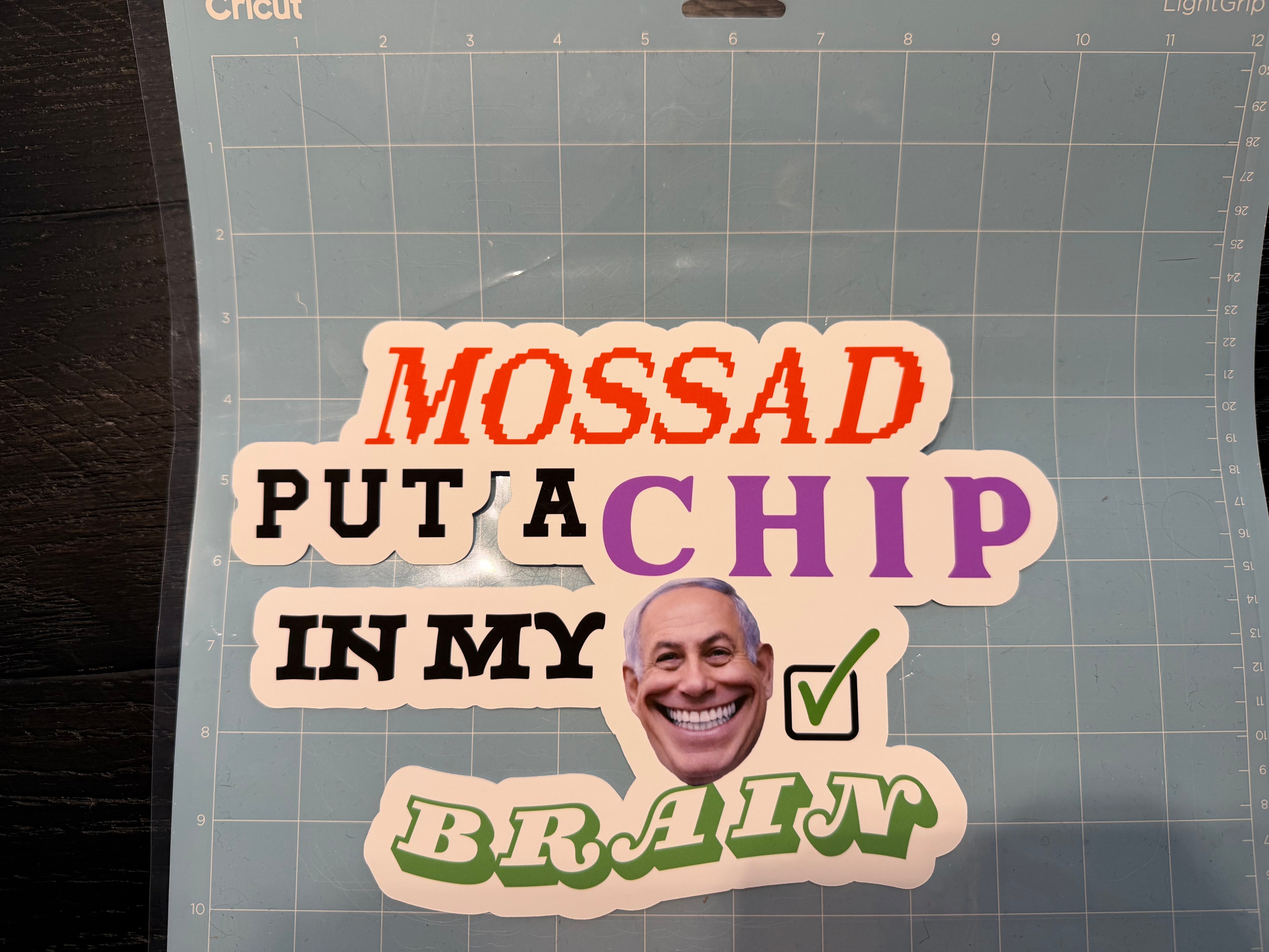 Mossad Put A Chip In My Brain Sticker